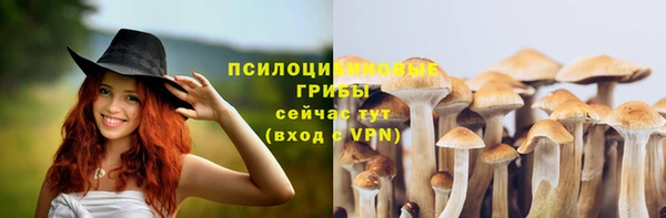 скорость Алзамай