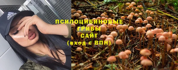 эйфоретик Алексин