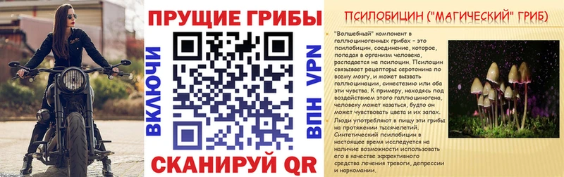 Галлюциногенные грибы Psilocybe  мориарти Telegram  Благовещенск 